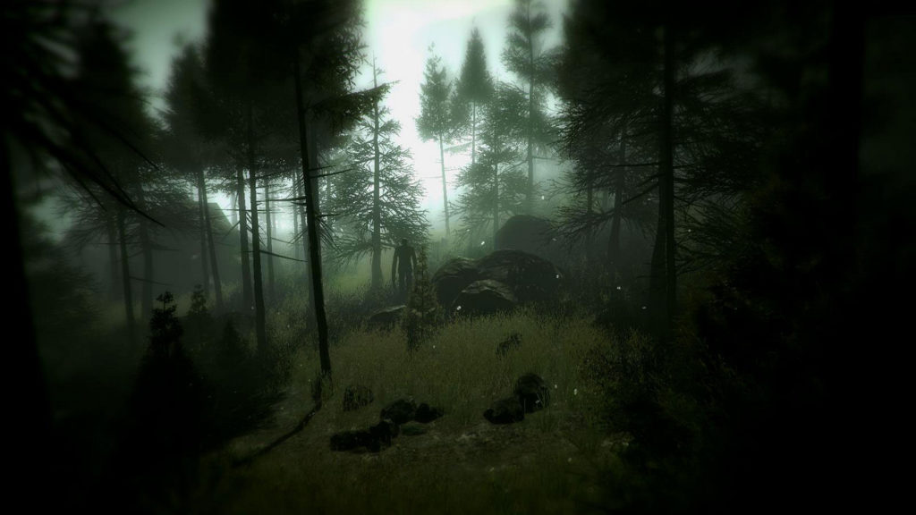 Indie horror games like Slender: The Arrival are particularly terrifying, as this screenshot shows: You're standing in a forest with tall pine trees, and you can see the Slenderman in the distance as a large black silhouette, in the center of the image in a clearing. The image is heavily desaturated. The sky in the background is very bright, illuminating the grassy ground near the Slenderman. To the left and right of the image, the forest turns almost black, creating a sort of silhouette as an effect.