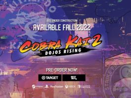 Here we see a cover of Cobra Kai 2: Dojos Rising.