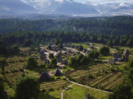 In this screenshot from Manor Lords, we look down from the air at a medieval settlement in the daytime, which is located in the center of the image in the distance in a clearing. The houses all have a gray-brown tone and thatched roofs, and together with the paths are placed very organically and realistically. Around the settlement, there are some very realistic-looking fields and numerous green trees stand around the town. Behind the settlement, a huge stretch of forest extends deep into the background, where we can see a mighty horizontally running mountain range with snowy peaks at the top of the image.