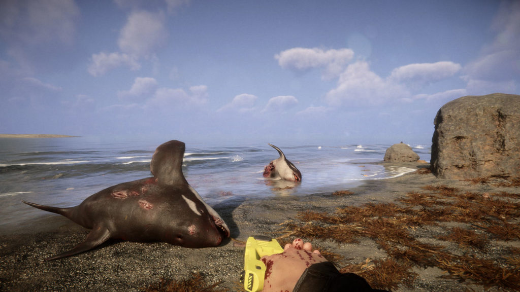 The player holds a yellow Taser pistol in both hands, which we can see in the center at the bottom of the image. He is looking at an amazingly realistic-looking stone beach during the day, on which there is a lot of brown-colored seaweed, which we can see at the bottom right of the image. On the right edge of the picture are two large gray rocks. In the center and left of the image are two dead killer whales lying on the beach. Small waves can be seen on the water and the blue sky with white clouds is shown in the upper half of the picture. In Sons of the Forest, you can expect very realistic gameplay and the release date is now known.