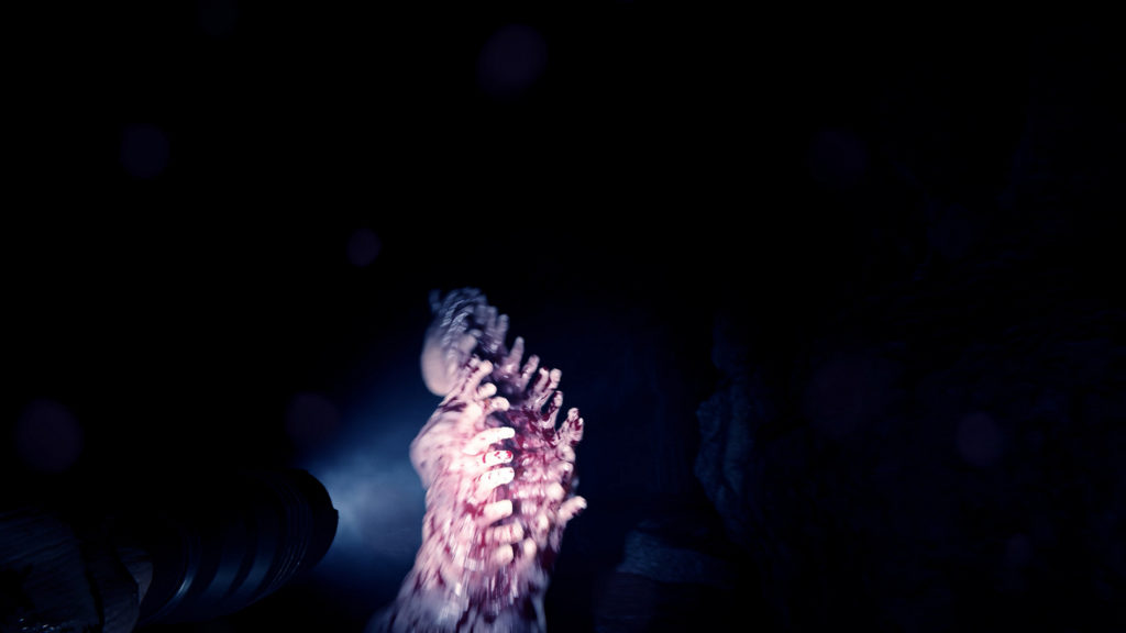 In this screenshot, the player is in a completely dark cave and has just spotted a new type of cannibal creature. With a flashlight in his left hand, he looks at the creature in a first-person perspective, which we see in a white light cone in the center of the image in the semi-close-up. It consists of an elongated bloody lump of flesh and has no arms. From below, many parallel ribs protrude grotesquely from its body pointing in the direction of the player. Because the monster is currently in frantic motion toward us, it is rendered in motion blur. There is absolute blackness around the beast. The release date of Sons of the Forest is in February 2023 and we can look forward to gripping gameplay.