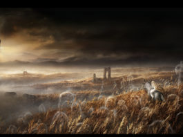 We see the artwork for the new Elden Ring DLC, which shows a rider on a gloomy cornfield. There is no release date yet.
