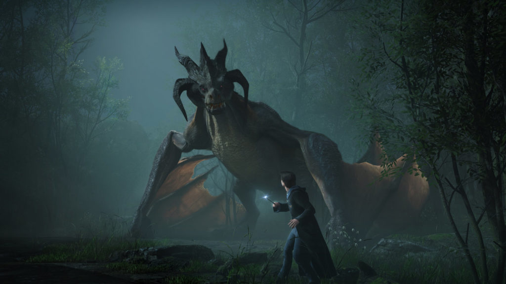 We see a student with his magic wand standing in a forest at night in front of a huge dragon.