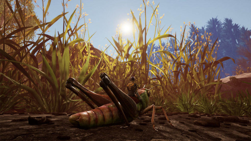 Here we see the player in a long shot at the bottom center of the image, sitting on a very realistic-looking grasshopper, which is currently on a brown earth floor. The grasshopper and the player are looking to the right. Behind them a bit further in the background are numerous types of grass reaching high into the sky, impressively illuminated by the sun, which we can see at the top center of the image in the sky. At the top right of the picture in the distance we can see the treetops of a forest. Smalland is scheduled to be released as Early Access in March 2023.
