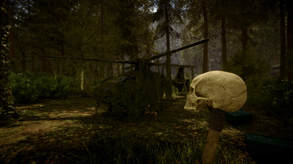 The player stands in first-person in a gloomy forest in front of an overgrown helicopter.