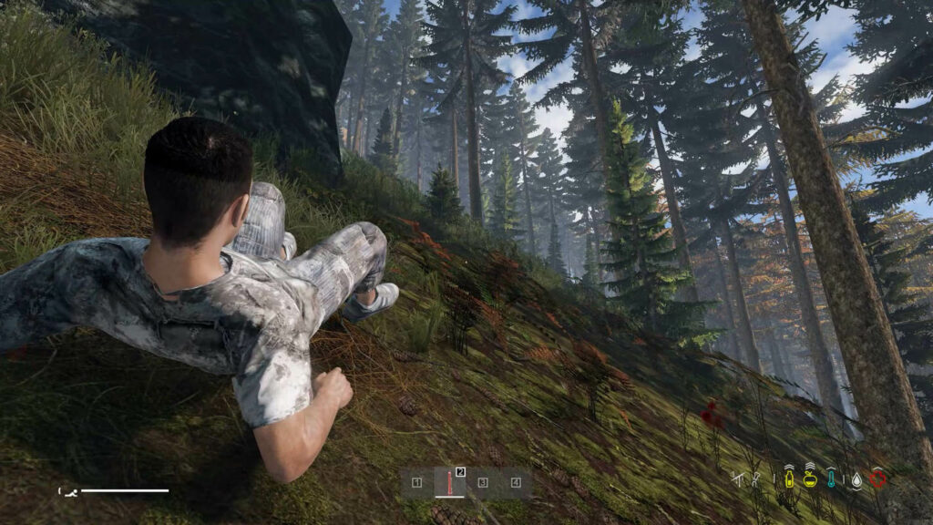 Why is Dayz hard? In this scene, we, as players, are lying in the middle of the forest in with a broken leg and bleeding.